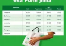 Calendário Bolsa Família