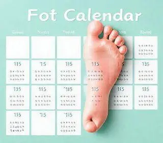 Calendário do Pé-de-Meia