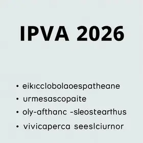 IPVA 2026