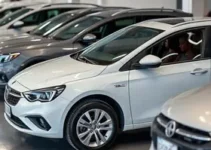 leilão de carros usados
