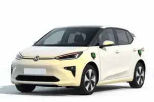 carros elétricos usados