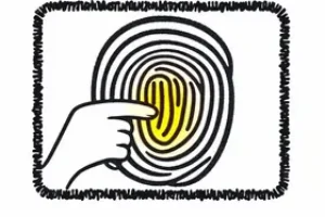 INSS biometria