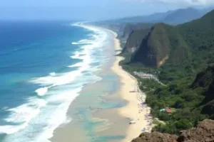 Ilhabela Vagas Temporárias Educação