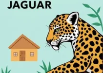 programa habitacional em Jaguari