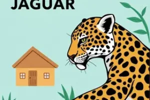 programa habitacional em Jaguari